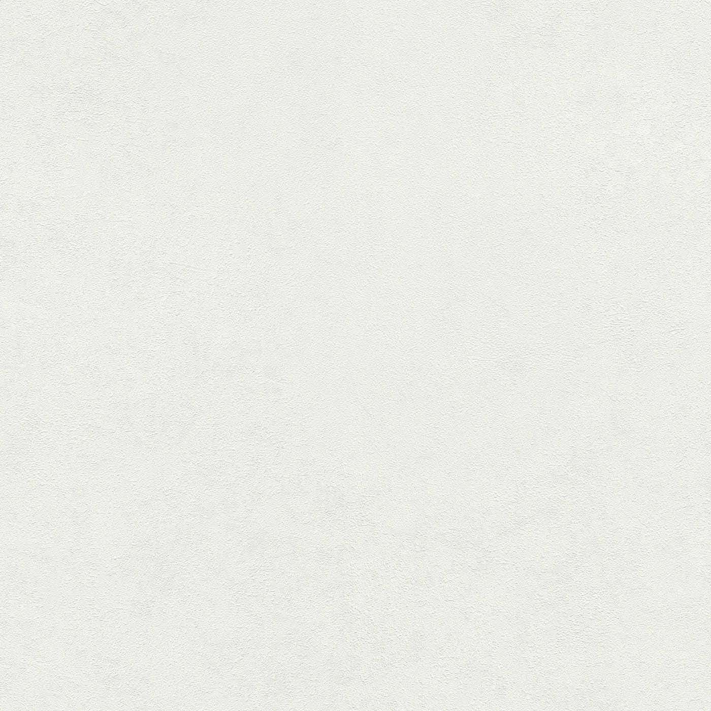 Vienkrāsainas tapetes, nedaudz spīdīgas un tekstūrētas, baltā, 1045301 Erismann