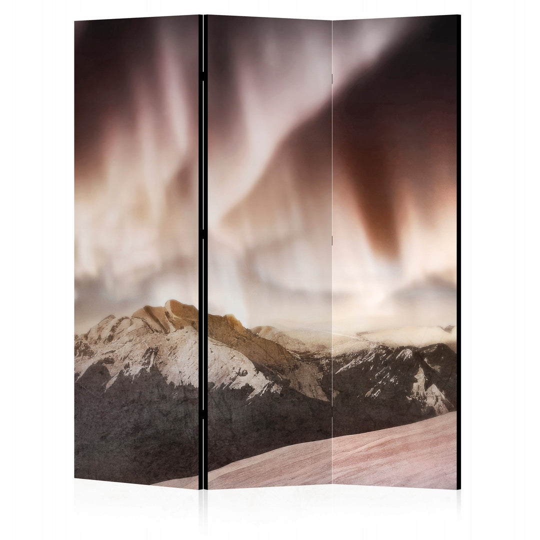 Aizslietnis, vienpusējs istabas sadalītājs, 135x172, Sniegotā meža pasaka L-ART