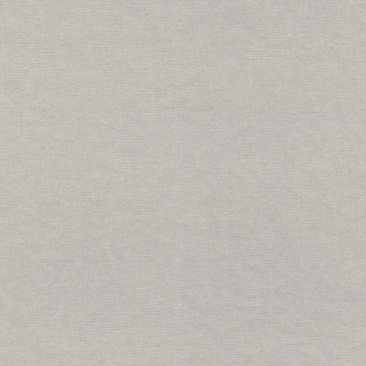 Wallpaper 1612227 | A sophisticated light grey shade with a matt texture