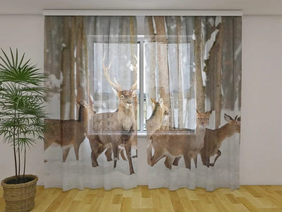 Christmas curtains - a majestic deer in a peaceful snowy forest Tapetenshop.lv