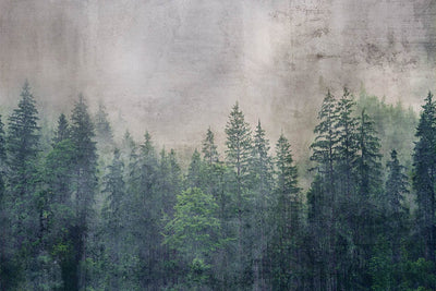 375x250 cm Fototapetes ar meža skatu ✅ Ir noliktavā D-ART
