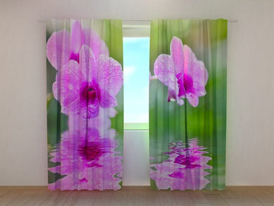 Curtains with flowers - Three orchids Tapetenshop.lv
