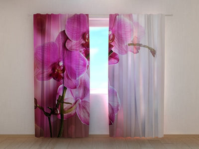 Curtains with flowers - Violet orchids