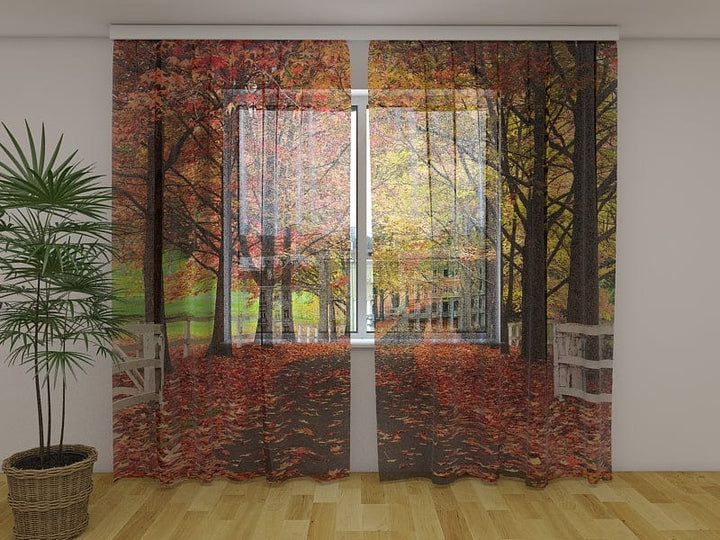 Dienas un nakts aizkari ar rudens ainavu - Rudens lapas Tapetenshop.lv