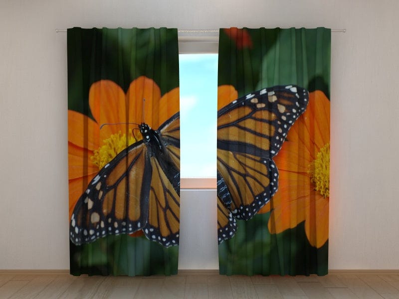 Curtains