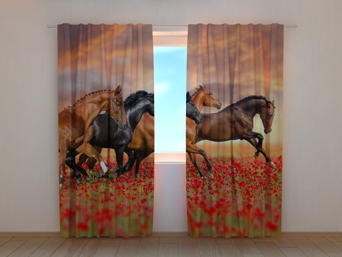 Curtains