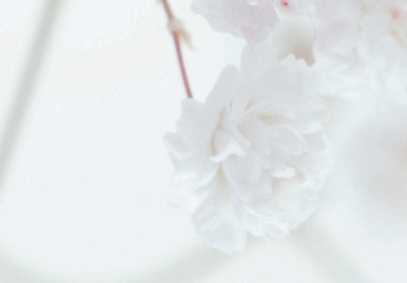 Aizslietnis Baltie ziedi 135x172 cm ART