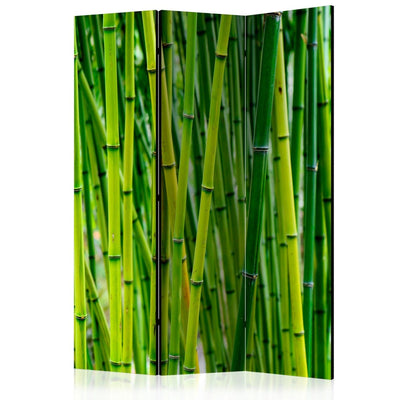 Aizslietnis Bambusa mežs 135x172 cm ART