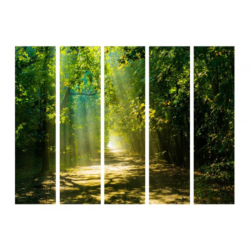 Aizslietnis Ceļš saules gaismā II 225x172 cm ART
