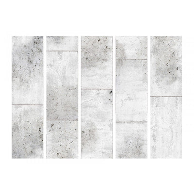 Aizslietnis Concretum murum II 225x172 cm ART