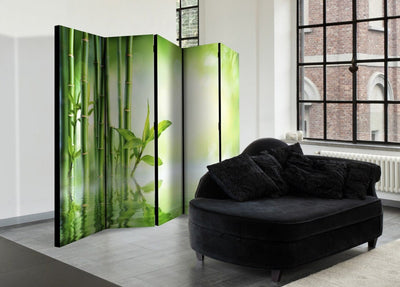 Aizslietnis Green Bamboo II 225x172 cm ART