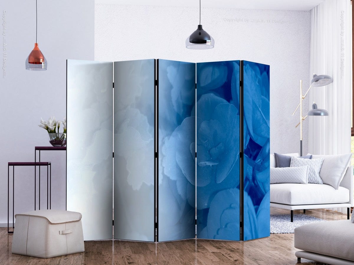 Širma ir kambarių pertvara