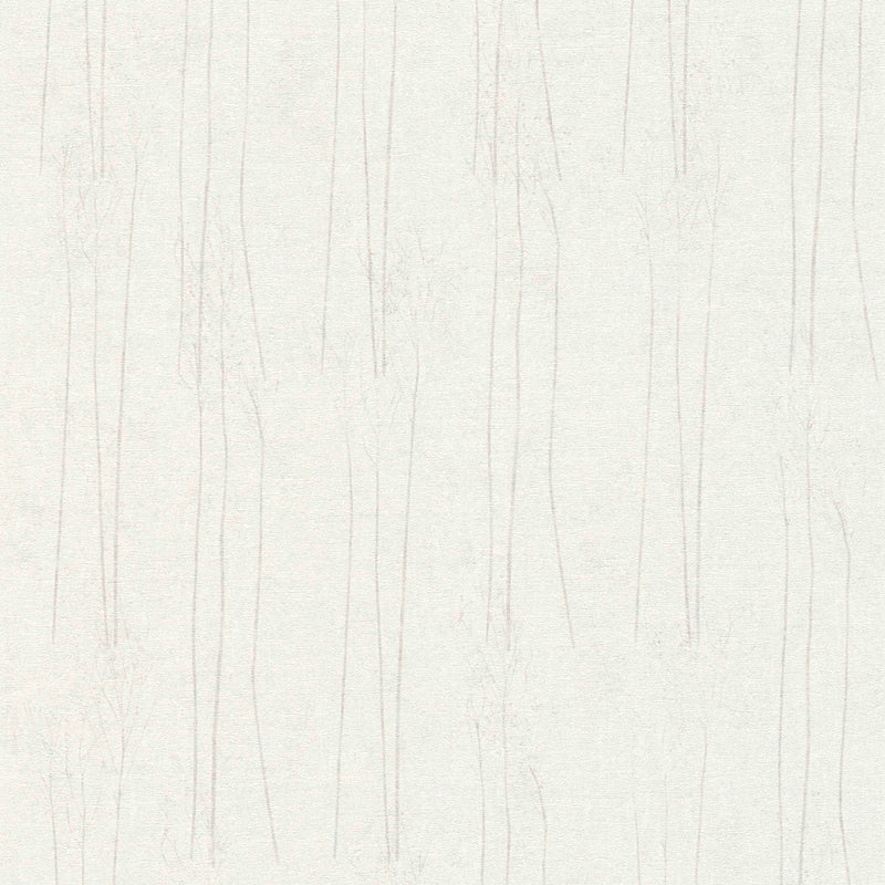 Baltas tapetes Scandi stilā ar dabas rakstu, 1362137 AS Creation