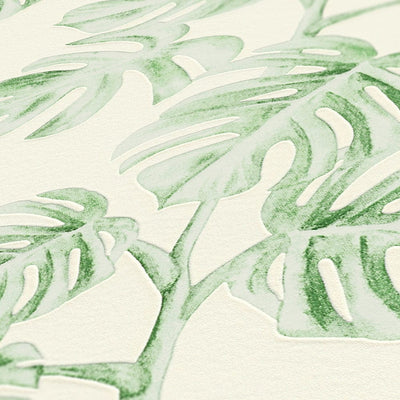 Flizelīna tapetes ar monsteras lapām, dabisks raksts - zaļa, balta AS Creation