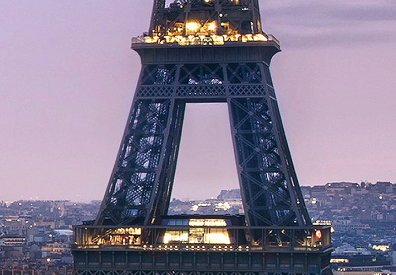 Fototapetes 107240 Parīzes panorāma