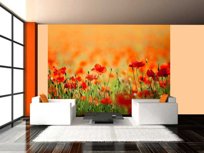 Wall Murals 60365 Poppies on a summer's day