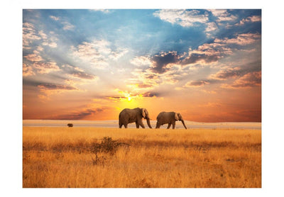 Fototapetes 61395 Āfrikas savannas ziloņi G-ART