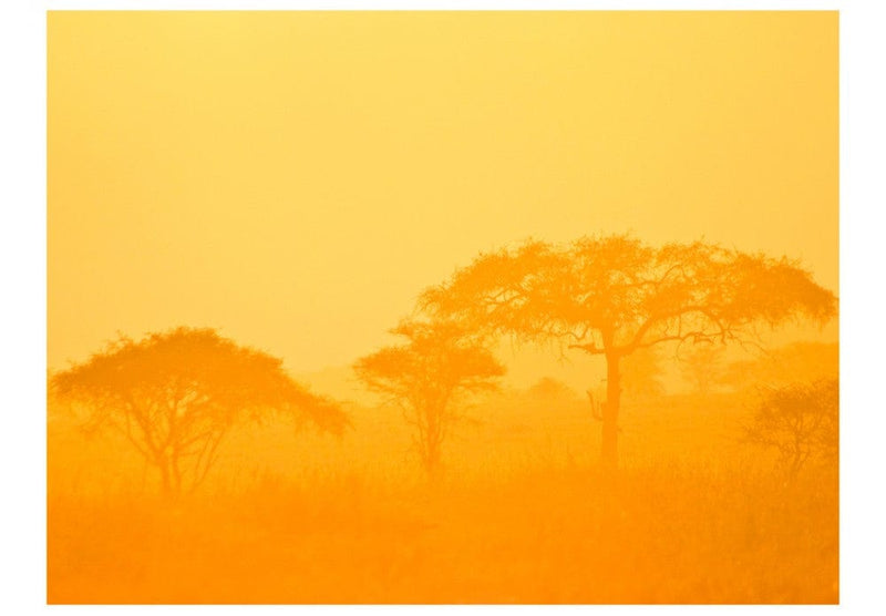 Fototapetes 61399 Āfrikas savanna G-ART