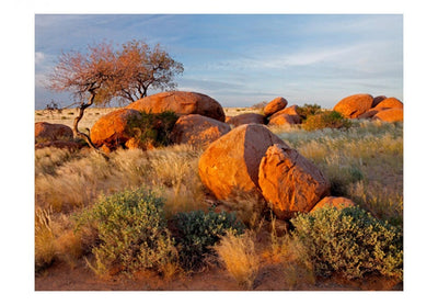 Fototapetes 61406 Āfrikas ainava, Namībija G-ART