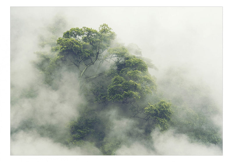 Fototapetes Amazones lietus mežs G-ART