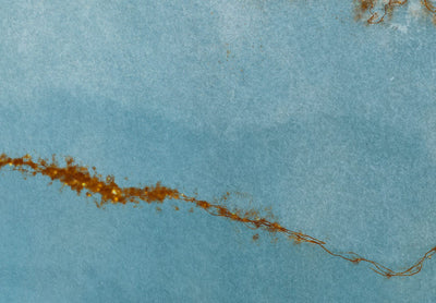 Fototapetes ar abstrakta faktūru zilā krāsā ar zelta elementiem, 143586 G-ART