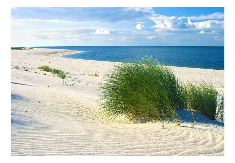 Fototapetes ar Baltijas jūru - Piejūras klusums, c-B-0265-a-a, 97939  G-ART