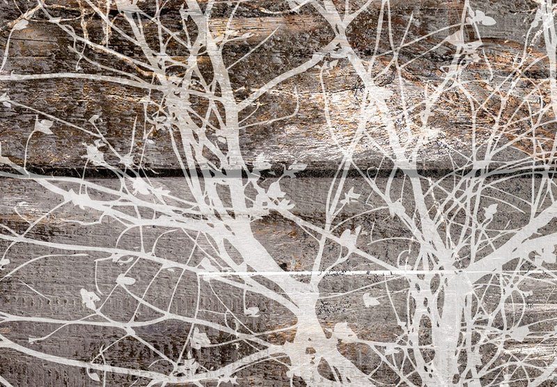 Fototapetes ar koka rakstu uz koka dēļiem - Dabas metamorfozes, 143848 G-ART