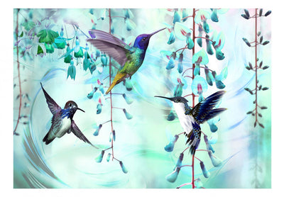 Fototapetes ar kolibri uz tirkīza fona - Lidojošie kolibri, 108032 G-ART