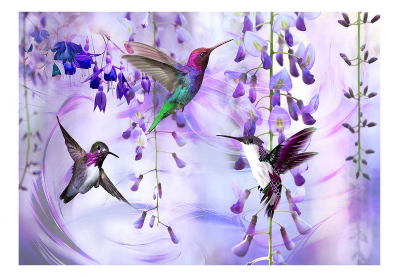 Fototapetes ar lidojošiem kolibri (violetā) 108031 G-ART
