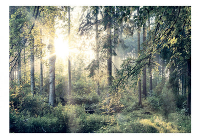 Fototapetes ar mežu - Meža stāsti, 91568 G-ART