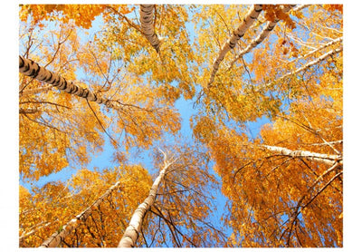 Fototapetes ar rudens ainavu - Rudens koki 60532 G-ART