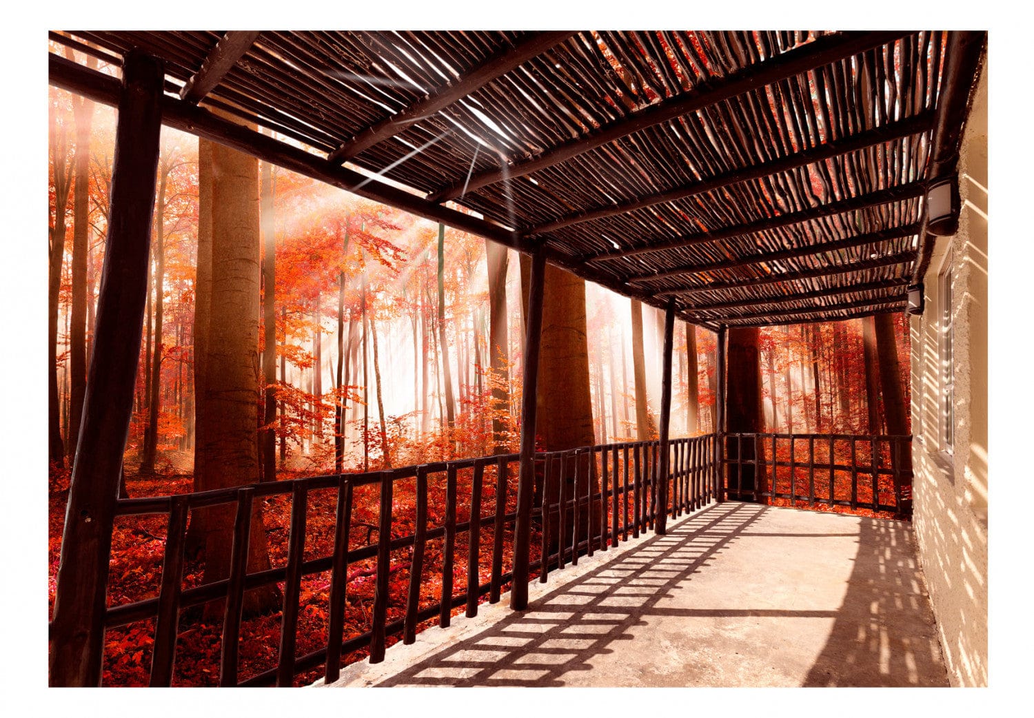 Fototapetes ar terasi un meža skatu ugunīgas nokrāsās - Meža terase G-ART