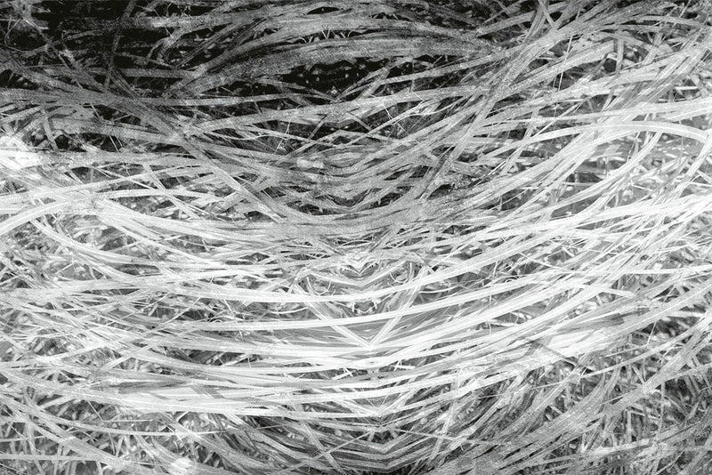Fototapetes ar zāli vintāžas stilā, melnbaltas - D382 D-ART