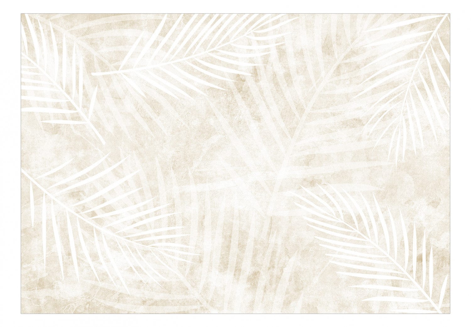 Fototapetes - Baltās palmu lapas G-ART