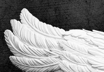 Fototapetes Balti eņģeļa spārni 142868 G-ART