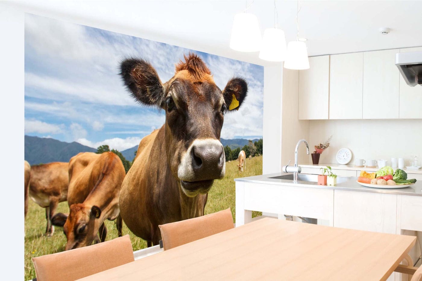 Wall Murals