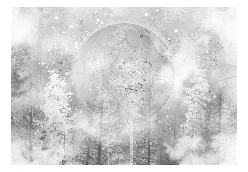 Fototapetes Ledus mēness, 138379 G-ART