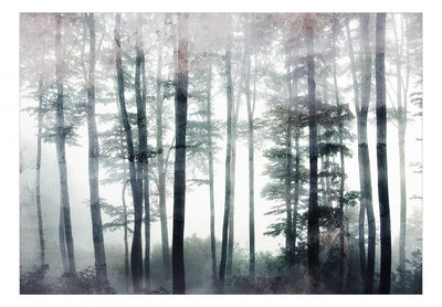 Fototapetes Miglains mežs, 137410 G-ART
