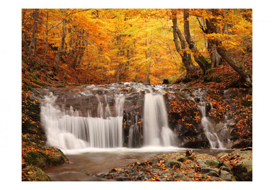 Fototapetes - Rudens ainava: ūdenskritums mežā, 59845 G-ART