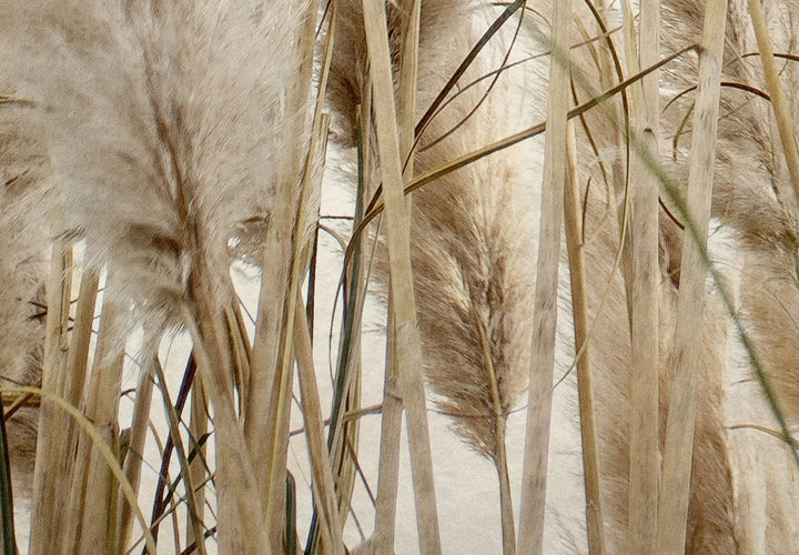 Fototapetes ar niedrēm pasteļtoņos, Merino krāsā G-ART