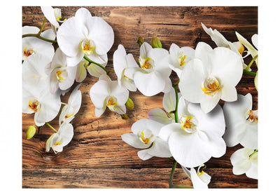 Fototapetes - Sniegbaltās orhidejas, 60629 G-ART
