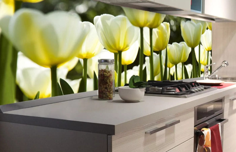Fototapetes virtuvei ar lamināciju, pašlīmējošas plēve un flizelīns - Baltas tulpes  (180x60 cm) Art4home