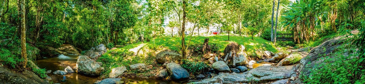Fototapetes virtuvei ar lamināciju - Botāniskais dārzs (260x60 cm) Art4home