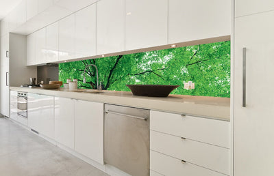 Fototapetes virtuvei ar lamināciju, pašlīmējošas plēve un flizelīns - Koku galotnes (350x60 cm) Art4home