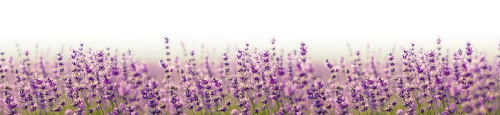 Pašlīmējošas fototapetes virtuvei - Lavandas lauks (260x60 cm) Art4home