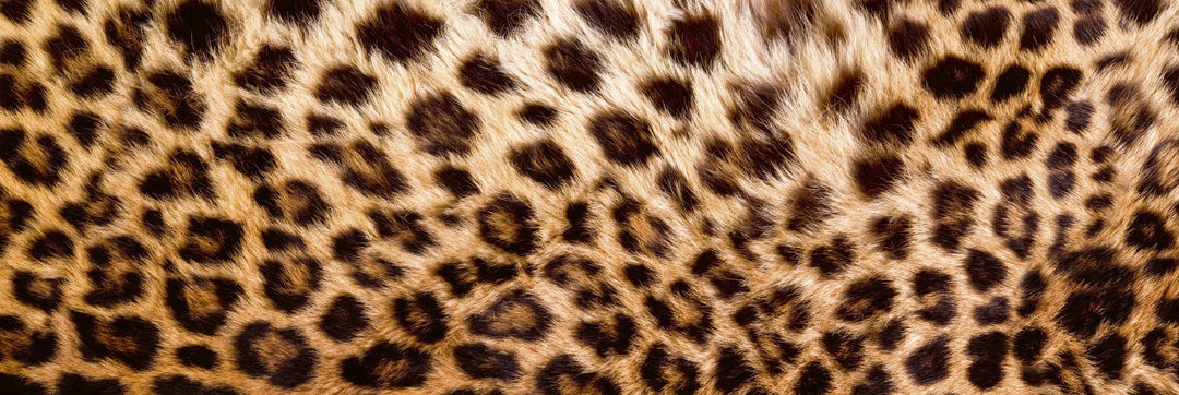 Pašlīmējošas fototapetes virtuvei - Leoparda āda  (180x60 cm) Art4home