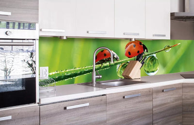 Fototapetes virtuvei ar lamināciju, pašlīmējošas plēve un flizelīns - Mārīte  (260x60 cm) Art4home