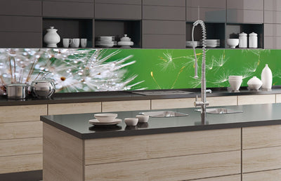 Fototapetes virtuvei ar lamināciju, pašlīmējošas plēve un flizelīns - Pienene (350x60 cm) Art4home