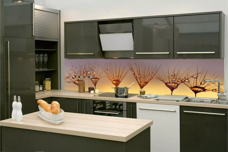Fototapetes virtuvei ar lamināciju, pašlīmējošas plēve un flizelīns - Pilieni uz pienenes (260x60 cm) Art4home