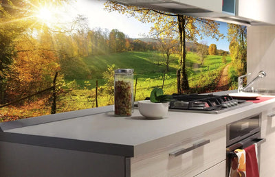 Fototapetes virtuvei ar lamināciju, pašlīmējošas plēve un flizelīns - Pļava  (180x60 cm) Art4home